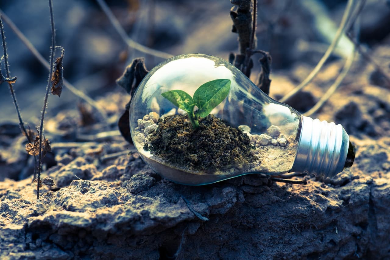 8 Dos and Don'ts of Sustainable Business Growth