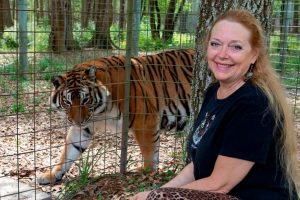 Carole Baskin In Tiger King Season 2