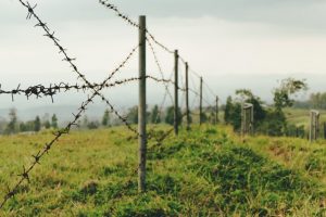 Understanding The Importance Of Property And Fence Line Surveys