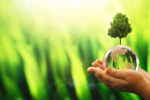 Building a Green Company - Best 5 Tips You Should Follow