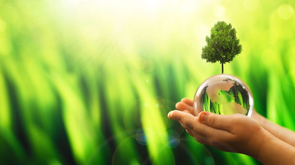 Building a Green Company - Best 5 Tips You Should Follow