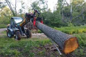 Log Grapple: A Guide for Beginners
