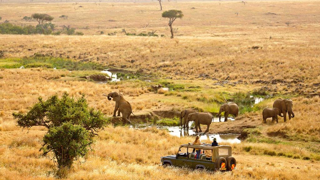 Kenya's Lewa Wildlife Conservancy