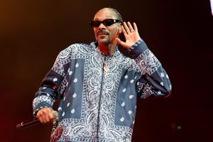 Snoop Dogg Net Worth: Career Income And Businesses