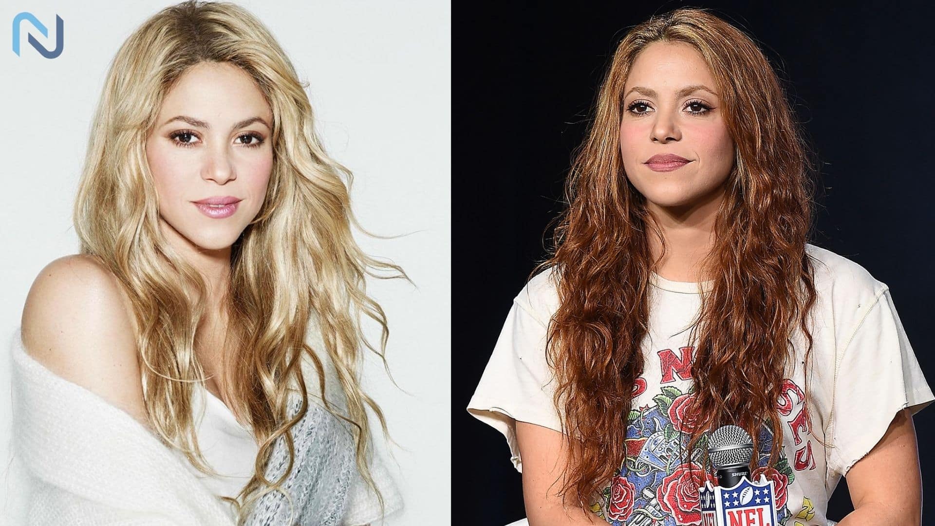 Shakira Cutest and Successful Female Singer