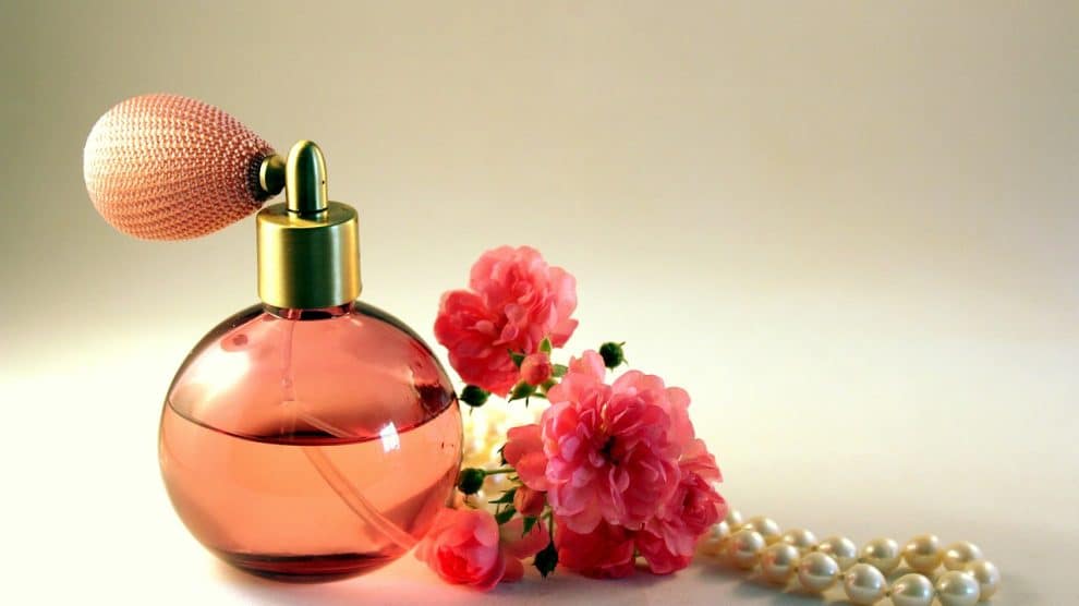 Top 10 Best Perfumes for Women in 2023 - The Next Hint