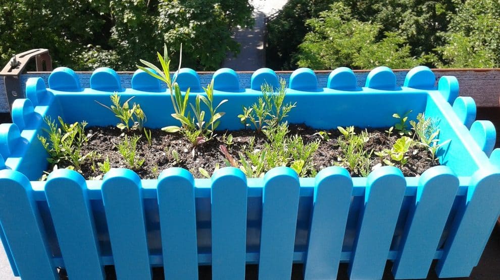 From Ordinary to Extraordinary: The Beauty of Plant Boxes