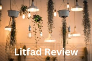 Litfad Review: Is It Genuine Or Another Scam?