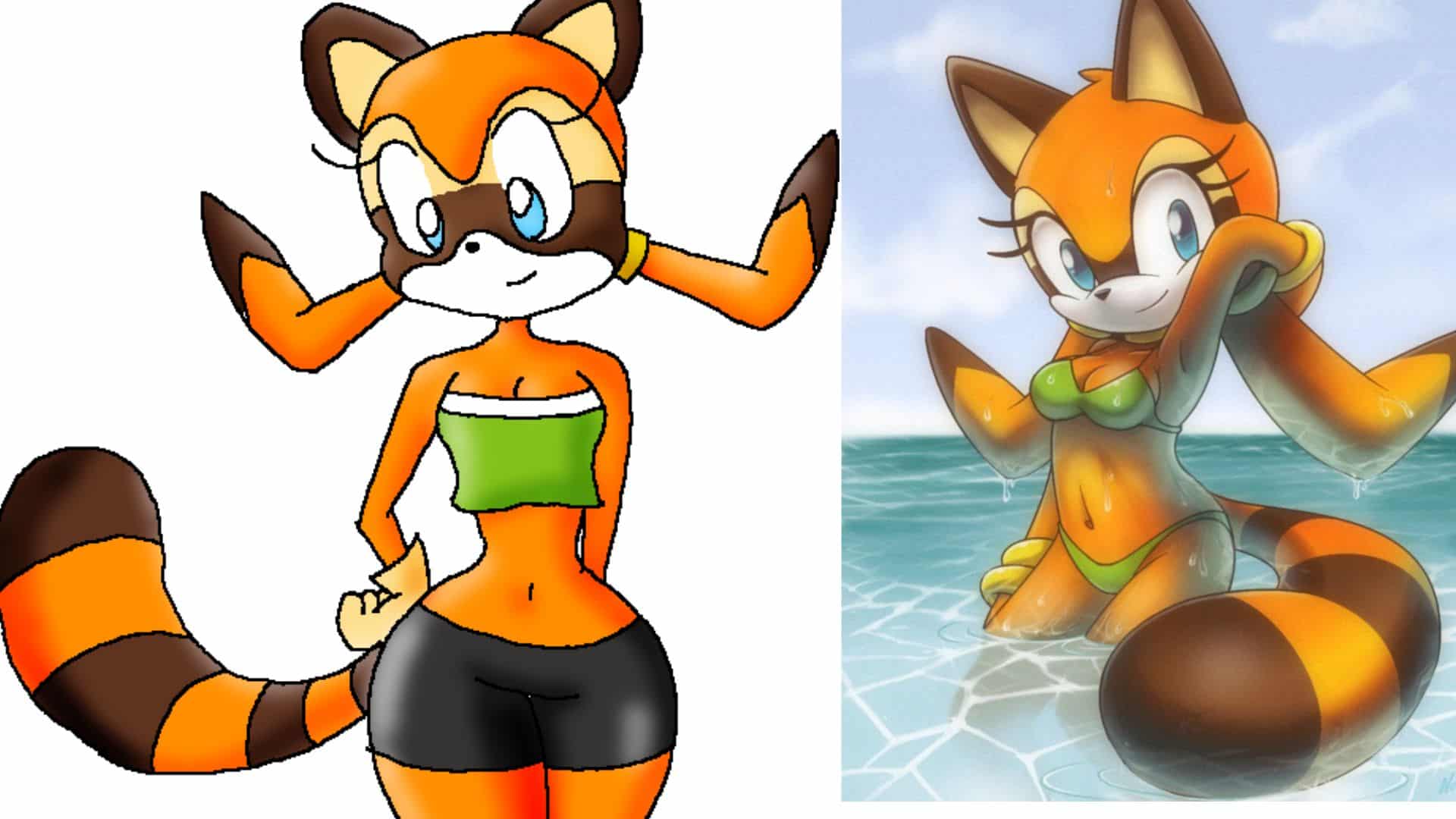 Marine The Raccoon from Hottest Sonic Girls