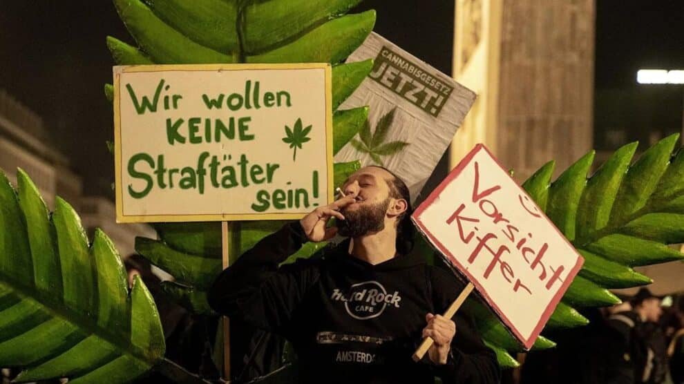 Germany Legalises Marijuana and Planting It in Home - The Next Hint